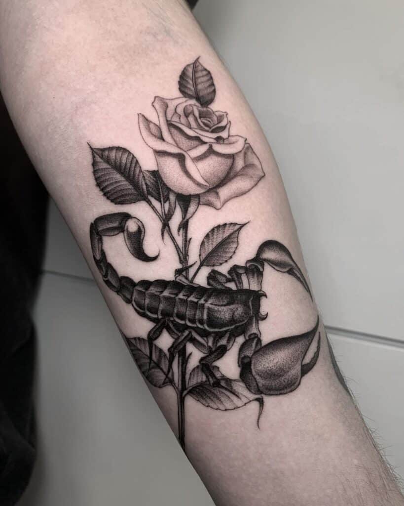 Tatuaje de rosa y alacrán en blanco y negro en estudio de tatuajes en Estepona.